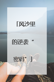 风沙里的逆袭“密码”