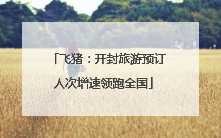 飞猪：开封旅游预订人次增速领跑全国