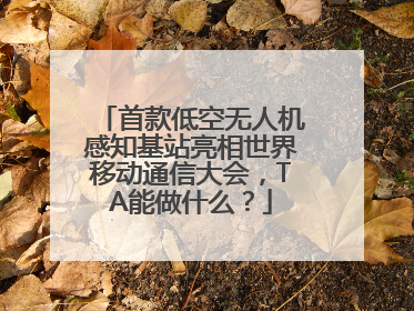 首款低空无人机感知基站亮相世界移动通信大会，TA能做什么？
