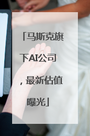 马斯克旗下AI公司，最新估值曝光