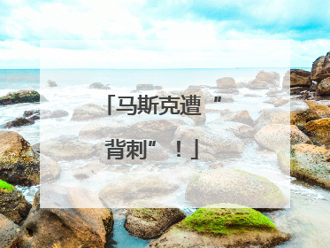 马斯克遭“背刺”！