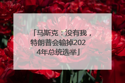 马斯克：没有我，特朗普会输掉2024年总统选举