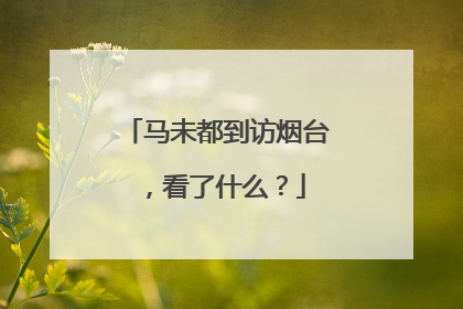 马未都到访烟台，看了什么？