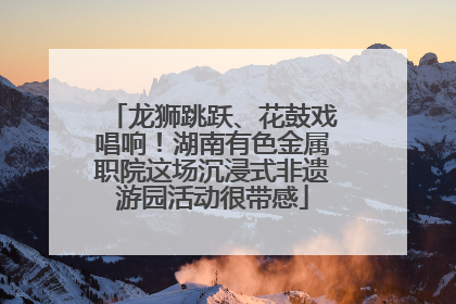 龙狮跳跃、花鼓戏唱响！湖南有色金属职院这场沉浸式非遗游园活动很带感