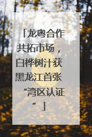 龙粤合作共拓市场，白桦树汁获黑龙江首张“湾区认证”