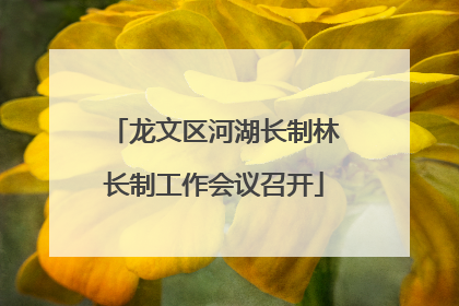 龙文区河湖长制林长制工作会议召开