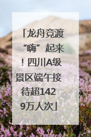 龙舟竞渡“嗨”起来！四川A级景区端午接待超1429万人次