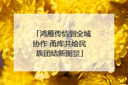 鸿雁传情到全域协作 甬库共绘民族团结新图景