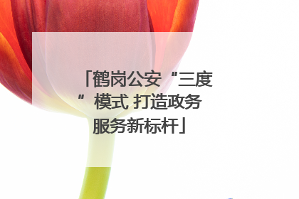 鹤岗公安“三度”模式 打造政务服务新标杆
