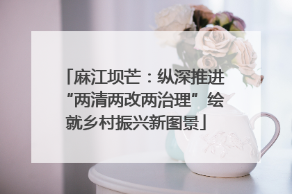 麻江坝芒：纵深推进“两清两改两治理”绘就乡村振兴新图景