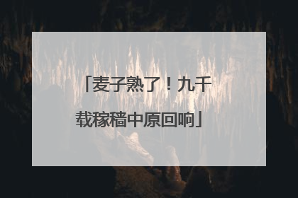 麦子熟了！九千载稼穑中原回响