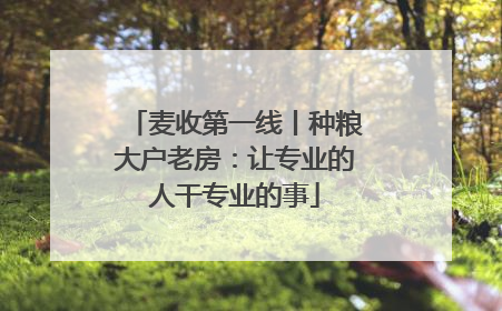 麦收第一线丨种粮大户老房：让专业的人干专业的事