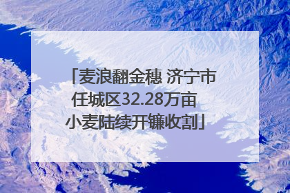麦浪翻金穗 济宁市任城区32.28万亩小麦陆续开镰收割