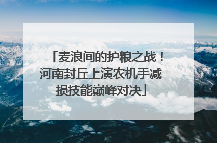 麦浪间的护粮之战！河南封丘上演农机手减损技能巅峰对决