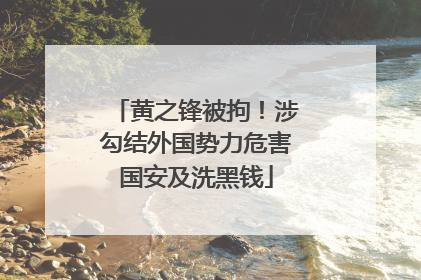 黄之锋被拘！涉勾结外国势力危害国安及洗黑钱