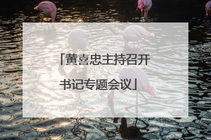 黄喜忠主持召开书记专题会议