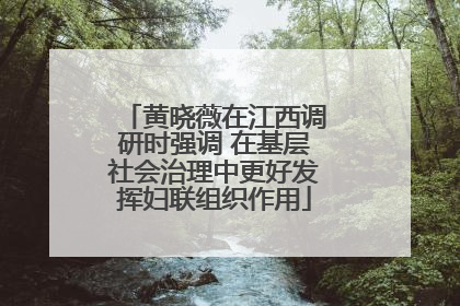 黄晓薇在江西调研时强调 在基层社会治理中更好发挥妇联组织作用
