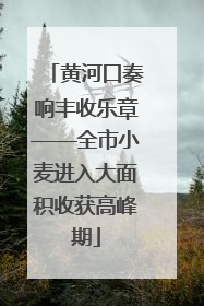黄河口奏响丰收乐章——全市小麦进入大面积收获高峰期