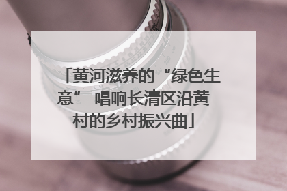 黄河滋养的“绿色生意” 唱响长清区沿黄村的乡村振兴曲
