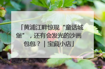 黄浦江畔惊现“童话城堡”，还有会发光的沙画包包？｜宝藏小店