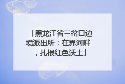 黑龙江省三岔口边境派出所：在界河畔，扎根红色沃土
