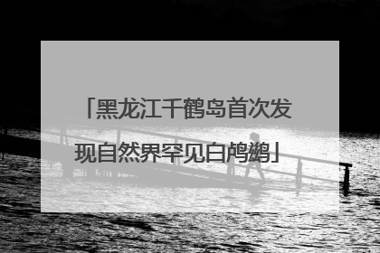 黑龙江千鹤岛首次发现自然界罕见白鸬鹚