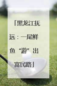 黑龙江抚远：一尾鲜鱼“游”出富民路