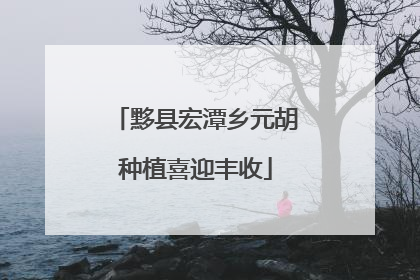 黟县宏潭乡元胡种植喜迎丰收