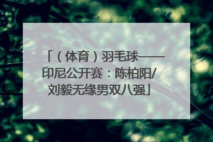 （体育）羽毛球——印尼公开赛：陈柏阳/刘毅无缘男双八强