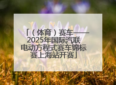 （体育）赛车——2025年国际汽联电动方程式赛车锦标赛上海站开赛