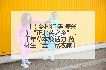（乡村行·看振兴）“正北芪之乡”：千年草本焕活力 药材生“金”富农家
