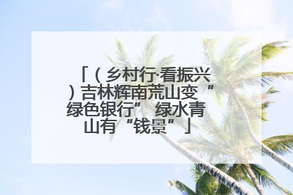 （乡村行·看振兴）吉林辉南荒山变“绿色银行” 绿水青山有“钱景”