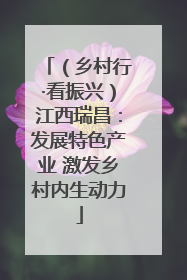 （乡村行·看振兴）江西瑞昌：发展特色产业 激发乡村内生动力