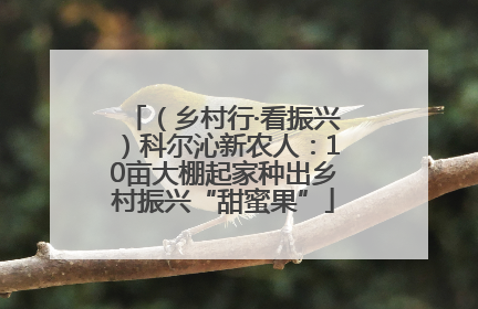 （乡村行·看振兴）科尔沁新农人：10亩大棚起家种出乡村振兴“甜蜜果”