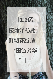 1.2亿枝菏泽芍药鲜切花绽放“国色芳华”