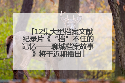 12集大型档案文献纪录片《“档”不住的记忆——聊城档案故事》将于近期播出