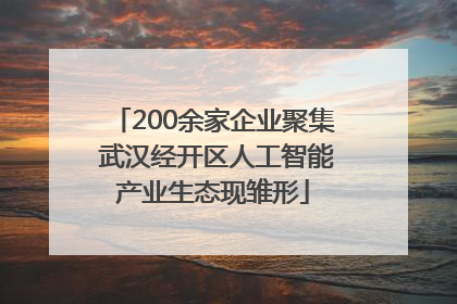200余家企业聚集 武汉经开区人工智能产业生态现雏形