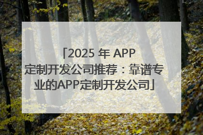2025 年 APP 定制开发公司推荐：靠谱专业的APP定制开发公司
