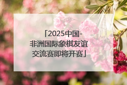 2025中国-非洲国际象棋友谊交流赛即将开赛