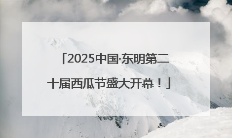 2025中国·东明第二十届西瓜节盛大开幕！