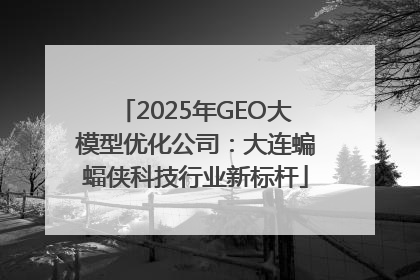 2025年GEO大模型优化公司：大连蝙蝠侠科技行业新标杆