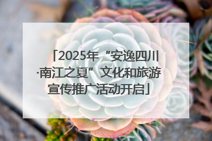 2025年“安逸四川·南江之夏”文化和旅游宣传推广活动开启