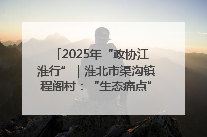 2025年“政协江淮行”｜淮北市渠沟镇程阁村：“生态痛点”变“生态景观”