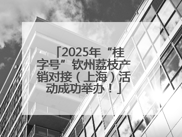 2025年“桂字号”钦州荔枝产销对接（上海）活动成功举办！