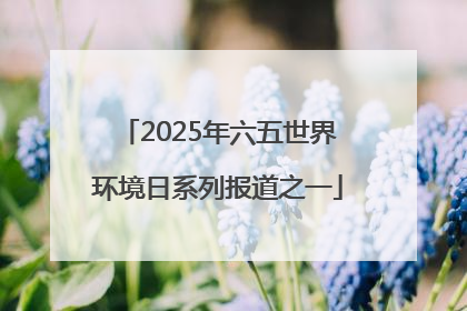 2025年六五世界环境日系列报道之一