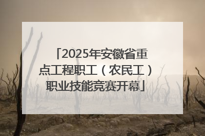 2025年安徽省重点工程职工（农民工）职业技能竞赛开幕