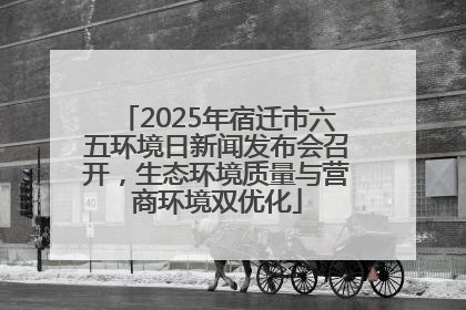2025年宿迁市六五环境日新闻发布会召开，生态环境质量与营商环境双优化