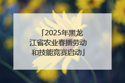2025年黑龙江省农业春播劳动和技能竞赛启动