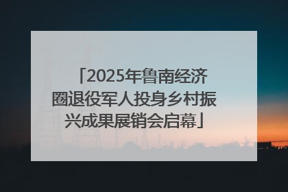 2025年鲁南经济圈退役军人投身乡村振兴成果展销会启幕