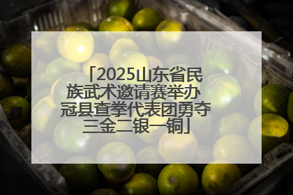 2025山东省民族武术邀请赛举办 冠县查拳代表团勇夺三金二银一铜